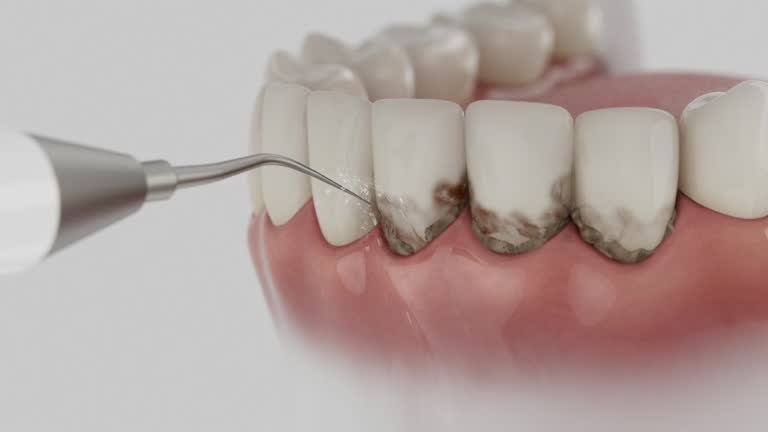 Reliable Dental contractor in Goldsboro, NC by Dentist Open Now